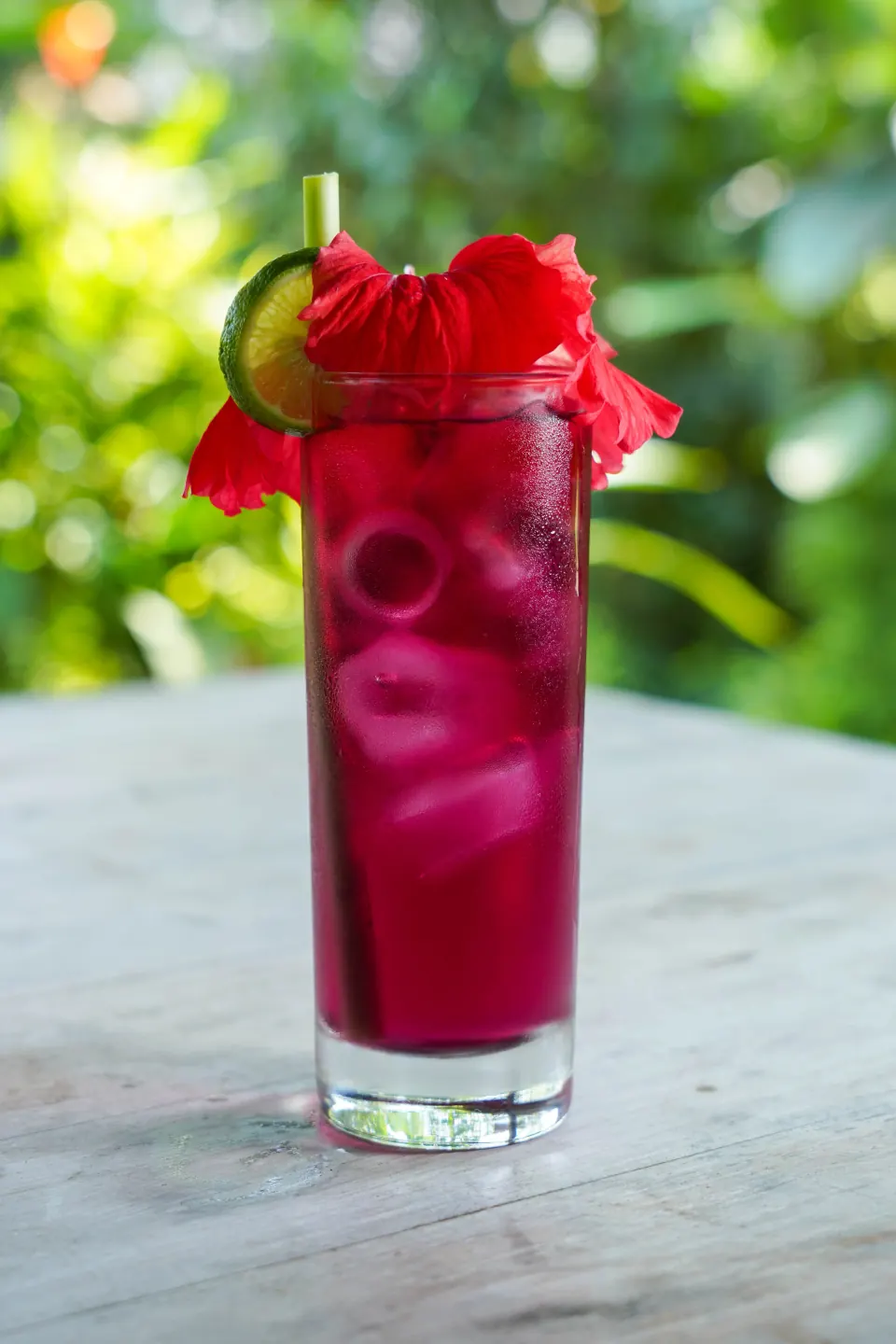 A red herbal infusion with a hibiscus flower garnish